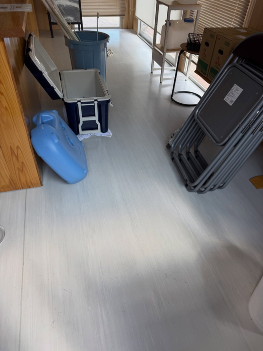 画像1477