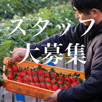 画像1510