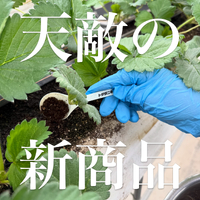 画像1537