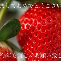 画像339