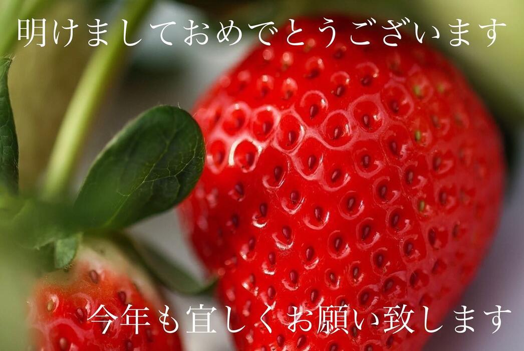 画像339