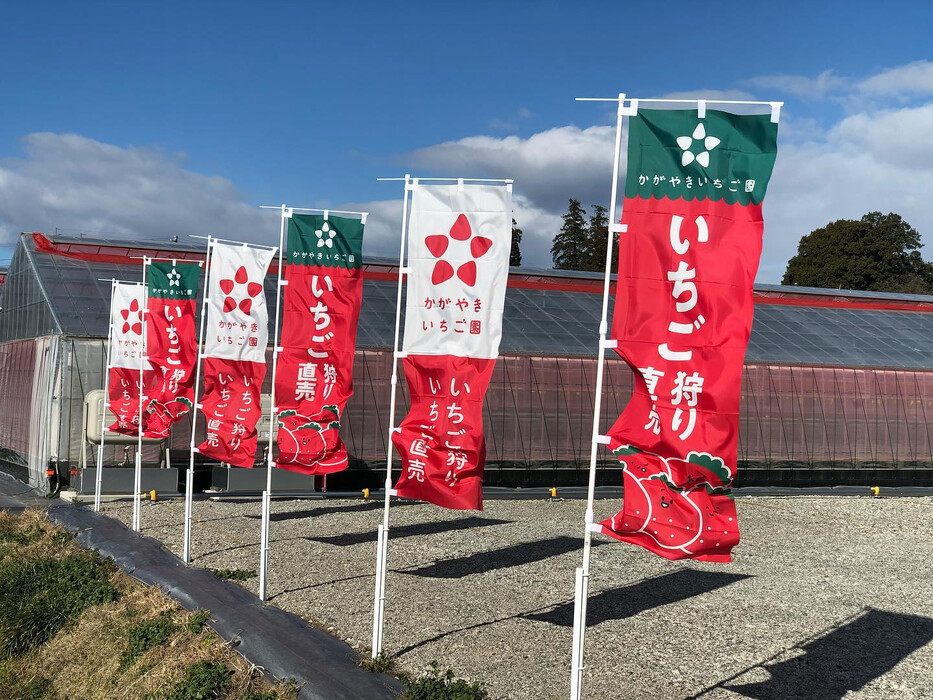 画像342