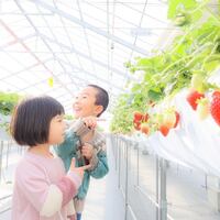 画像354