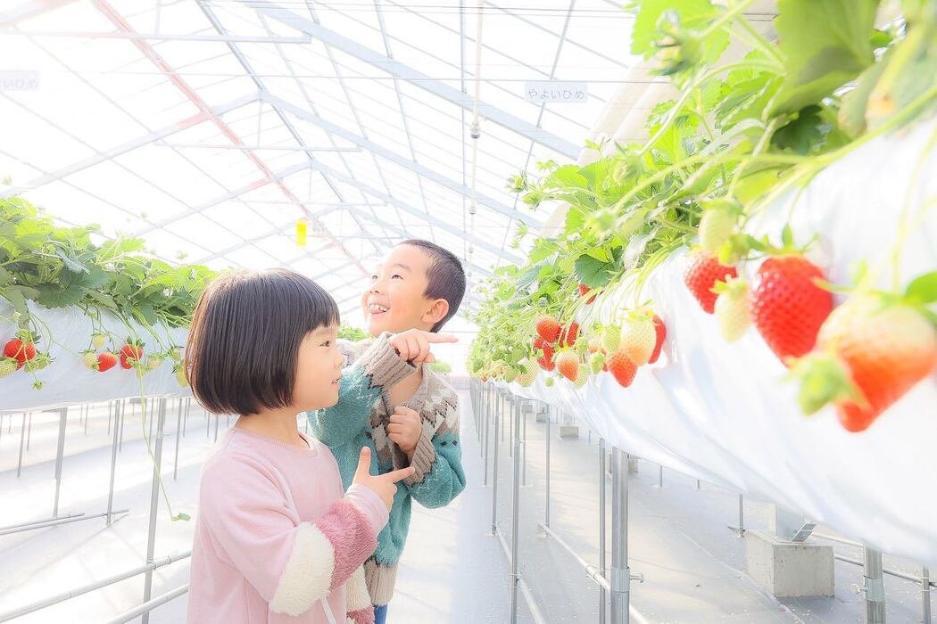 画像354