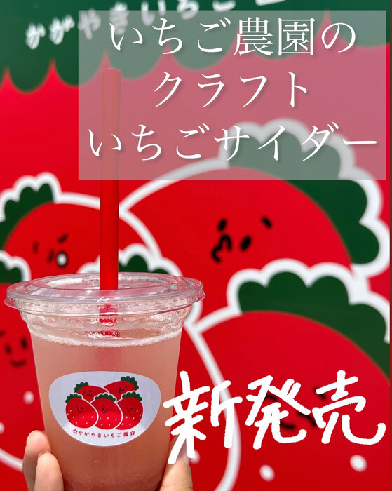 画像533