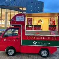 画像546