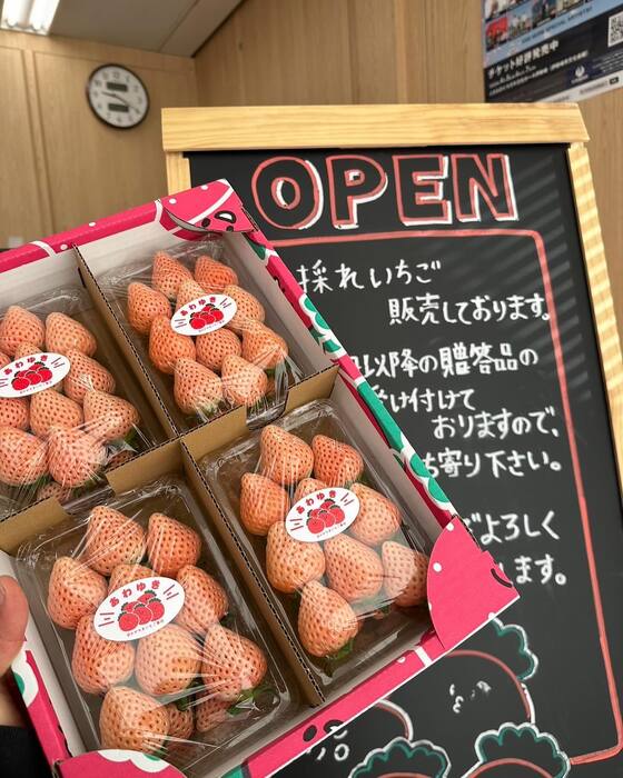 画像646