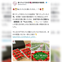画像685