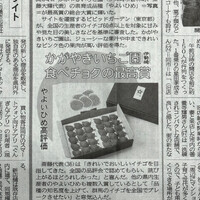 画像704