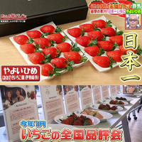 画像739